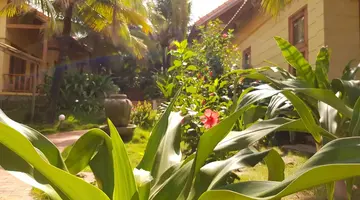 FREE BEACH RESORT