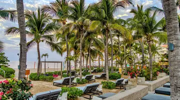 Friendly Fun Vallarta