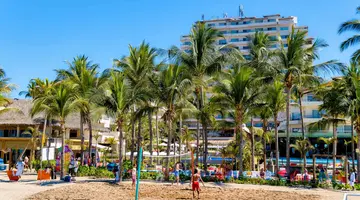 Friendly Fun Vallarta