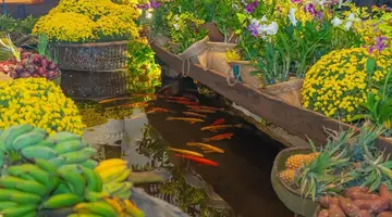 Furama Villas Danang