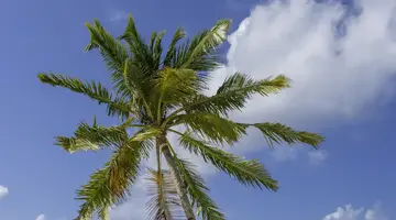 FURAVERI MALDIVES