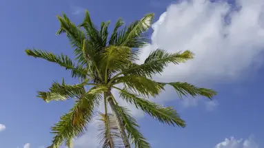 FURAVERI MALDIVES
