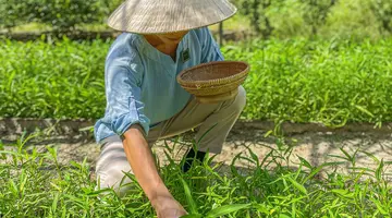 FUSION RESORT CAM RANH