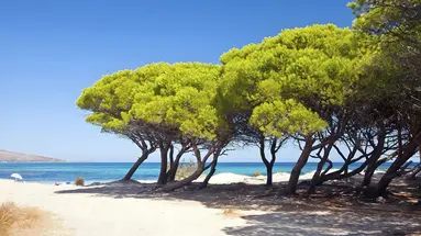 Futura Club Cala Fiorita