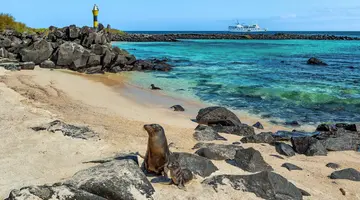 Galapagos - Gala zwierząt