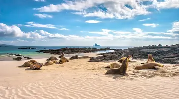 Galapagos - Gala zwierząt