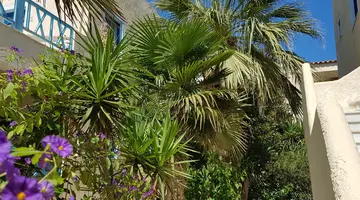 Galazio Beach Resort