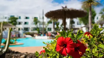 Galeon Playa Apartments