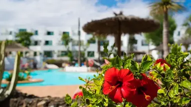 Galeon Playa Apartments