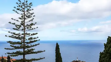 Garajau Madeira Hotel