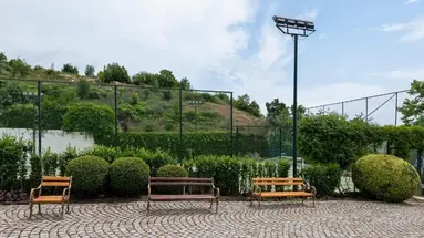 Garden Of Eden