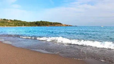 GARDENIA BEACH