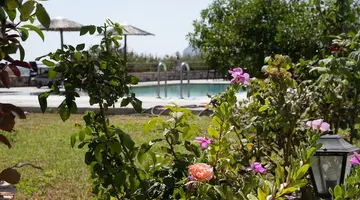 Gardenia Hotel