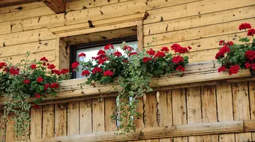 Gasthof Traube