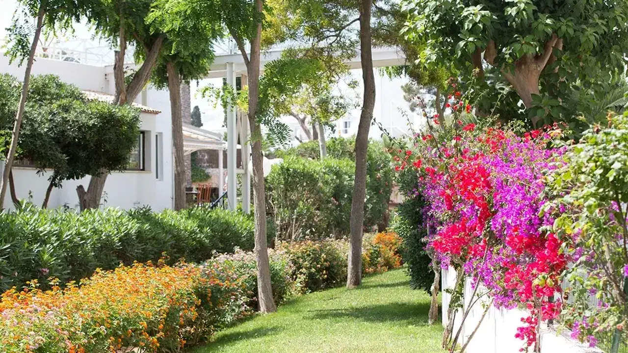 Gavimar Cala Gran Costa Del Sur Hotel & Resort