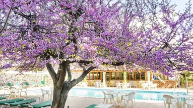 Gaya Hotel