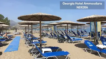 Georgia Garden Hotel