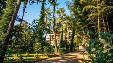 Georgia Palace Hotel & Spa