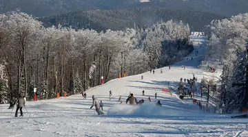 Geovita Krynica Zdrój