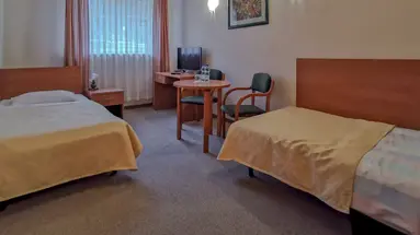 Geovita Wisła