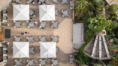 GF Fanabe