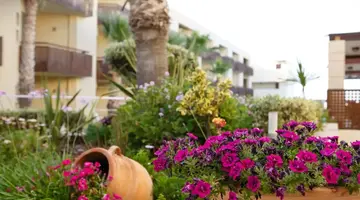 Giannoulis Santa Marina Plaza - Adults O