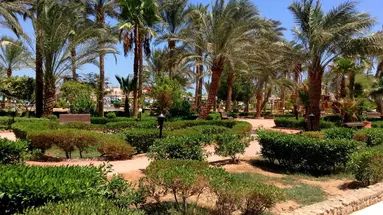 Giftun Azur Resort