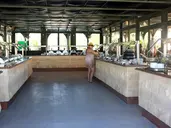 Giftun Azur Resort