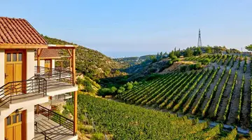 Gillham Vineyard Hotel
