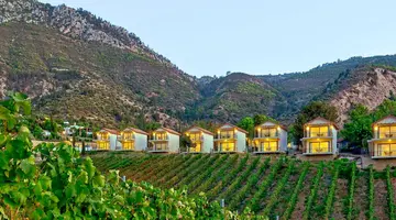 Gillham Vineyard Hotel