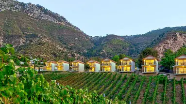 Gillham Vineyard Hotel