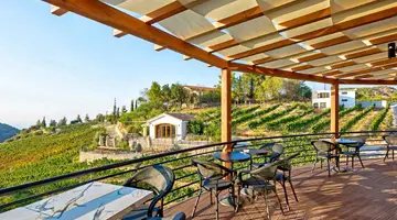 Gillham Vineyard Hotel