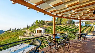 Gillham Vineyard Hotel