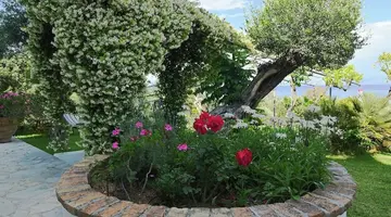 Gina Studios