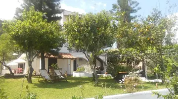 Gina Studios