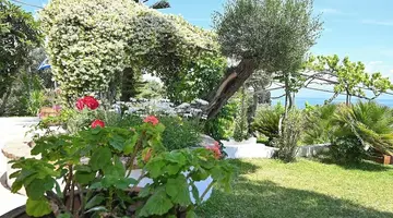 Gina Studios