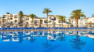 Globales Bouganvilla