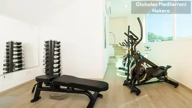 Globales Mediterrani