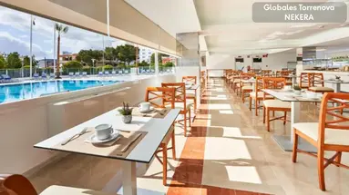 Globales Torrenova Adults Only