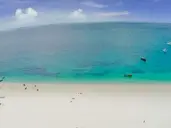 Gold Zanzibar