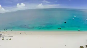 Gold Zanzibar