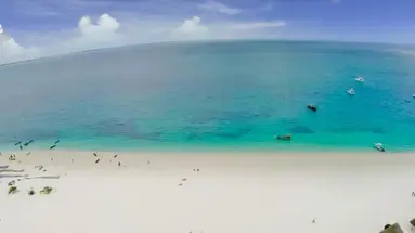 Gold Zanzibar