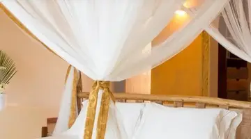 Gold Zanzibar
