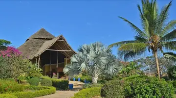 Gold Zanzibar