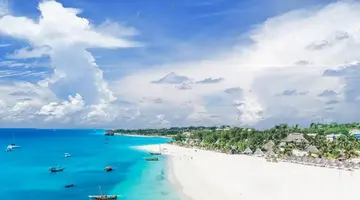 Gold Zanzibar