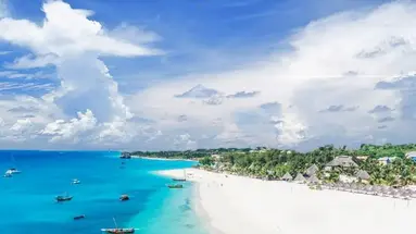 Gold Zanzibar