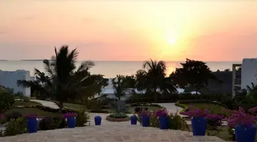 Gold Zanzibar