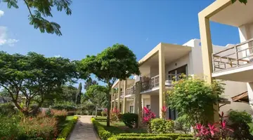 Gold Zanzibar