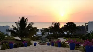 Gold Zanzibar