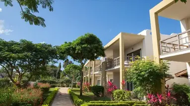 Gold Zanzibar